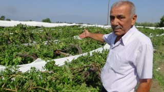 Sarıgöl'de Dolu ve Fırtına Afeti Yaşandı